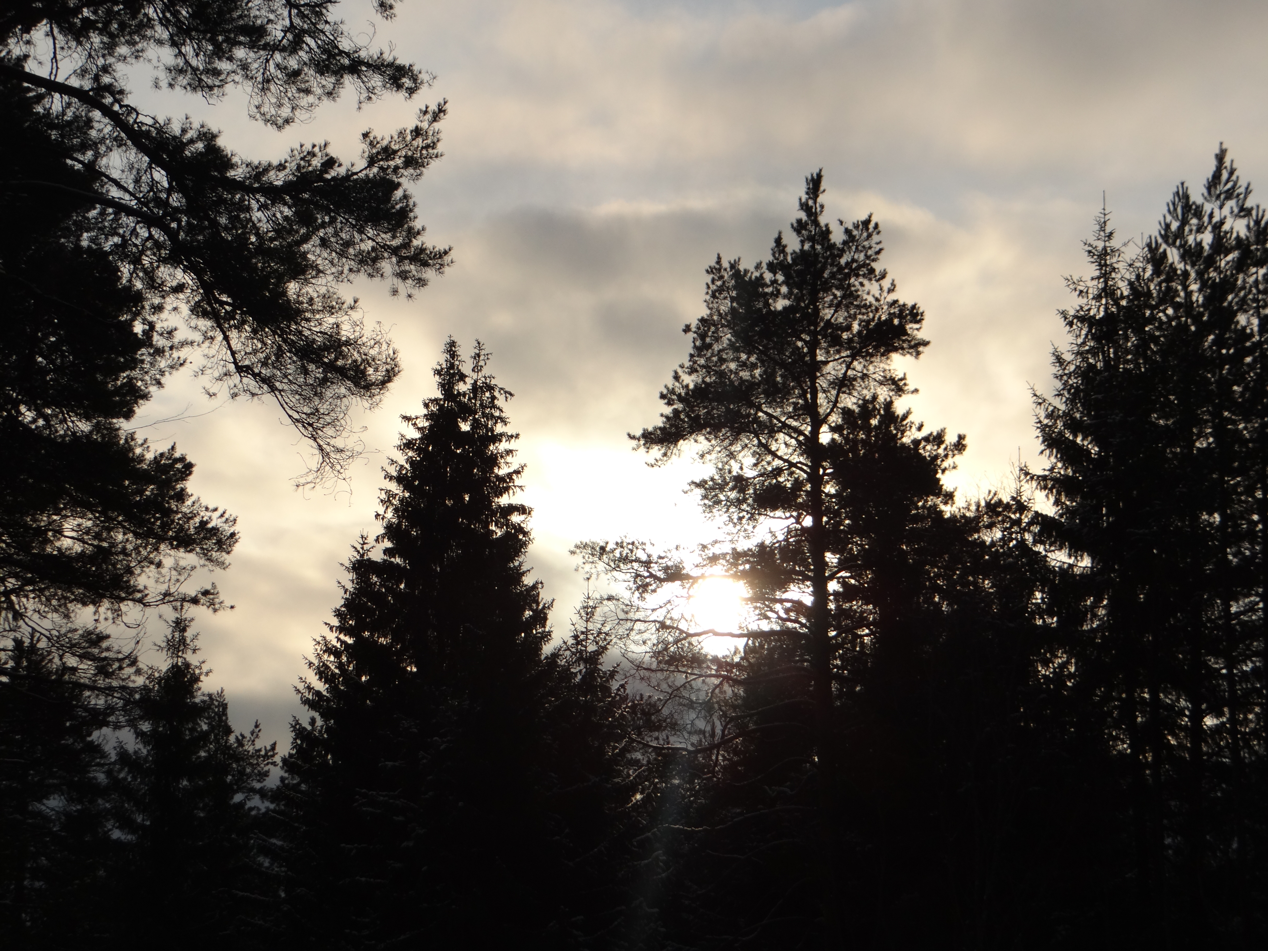 DSC09135.JPG