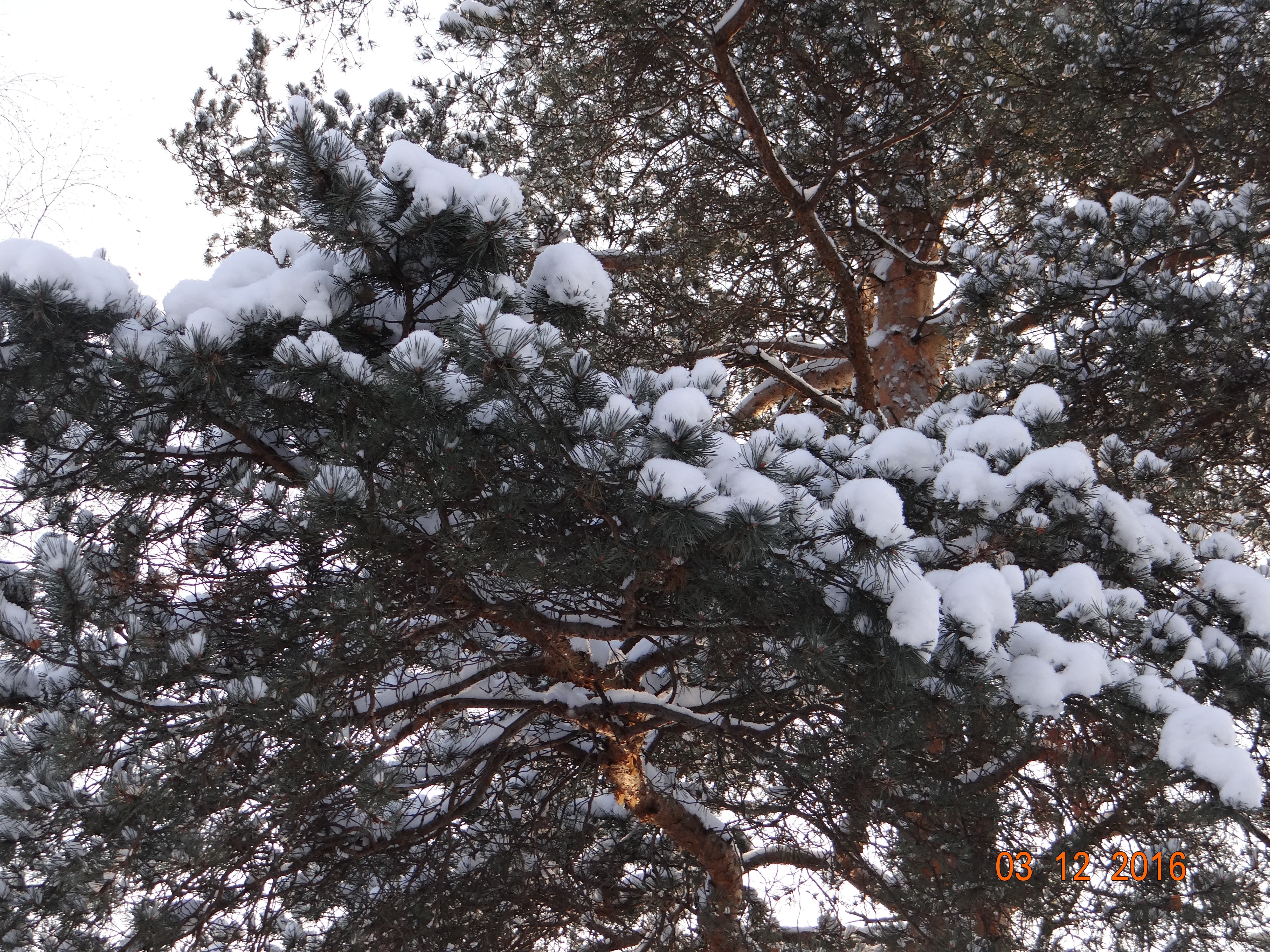 DSC09503.JPG