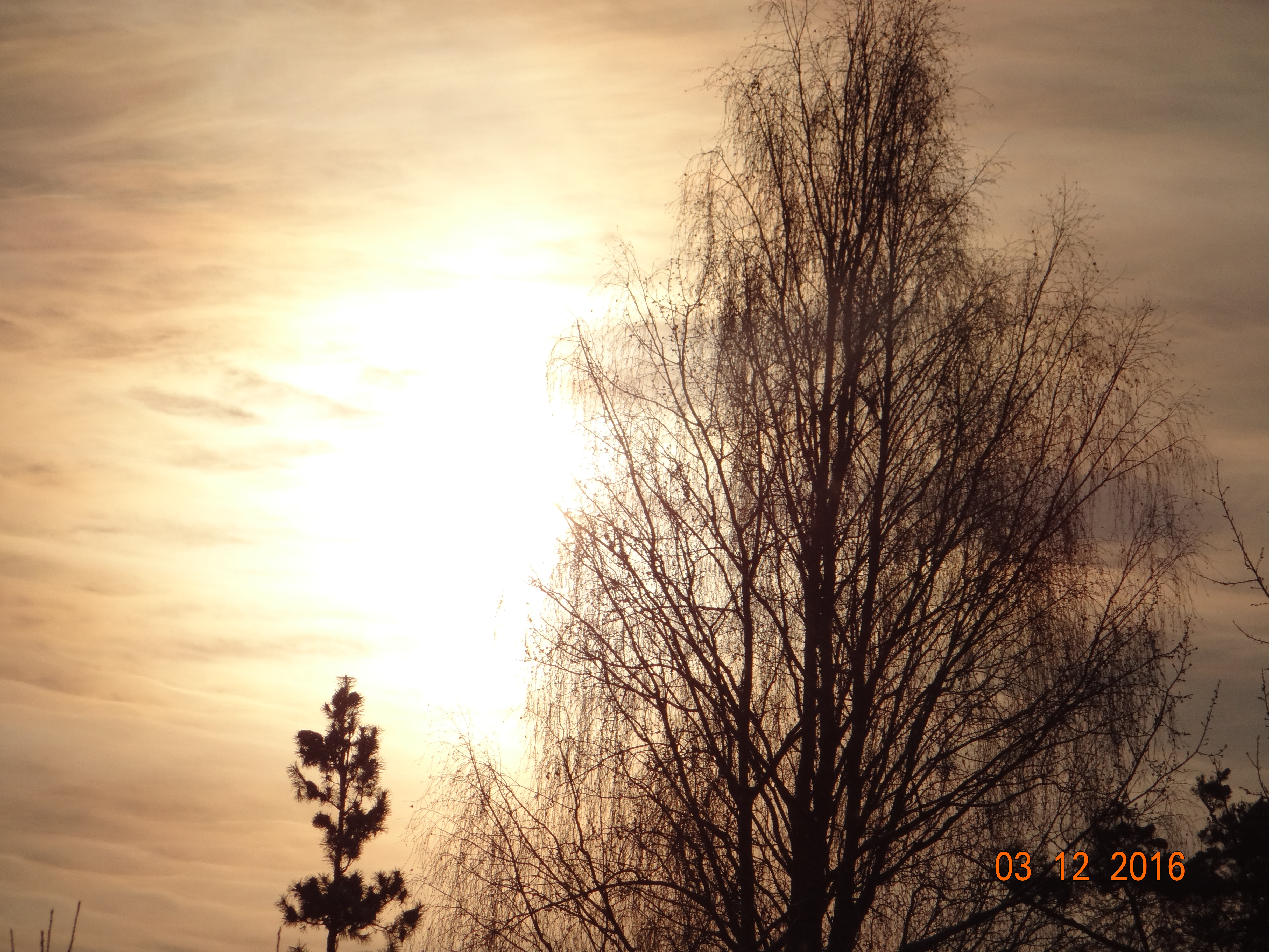 DSC09509.JPG