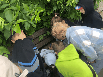 24.06.24_image.gif