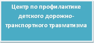 Центр ДДТТ.jpg