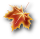 0_b2e58_f98e03b2_S.png