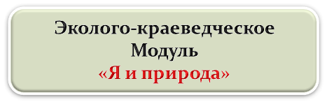 004а.png