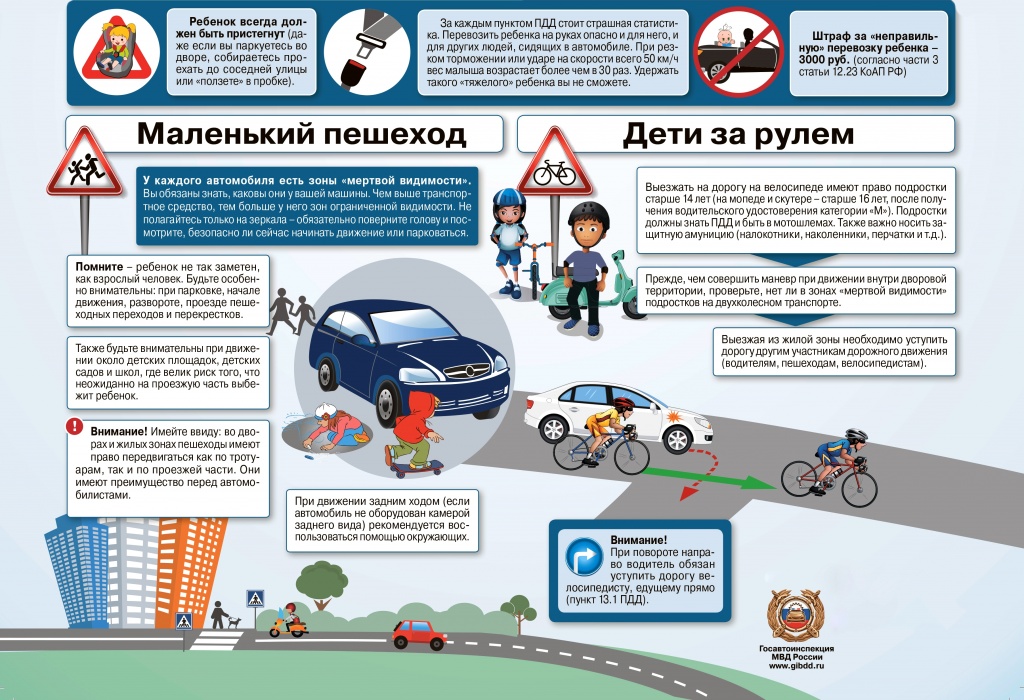 p2.jpg