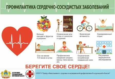 профилактика ССЗ.jpg