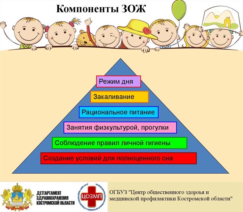 компоненты зож.jpg