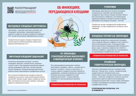 об инфекциях передающихся клещами2.jpg