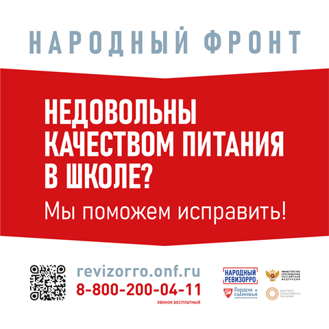 WEB-banner Народный фронт.png