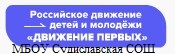 РДДМ_логотип.jpg