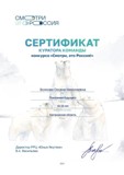 картинкаСертификат_куратора2021.jpg