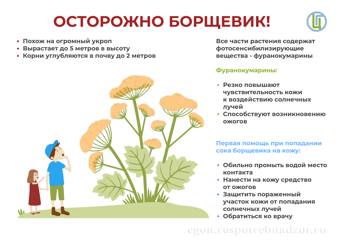 безопасность_3.png