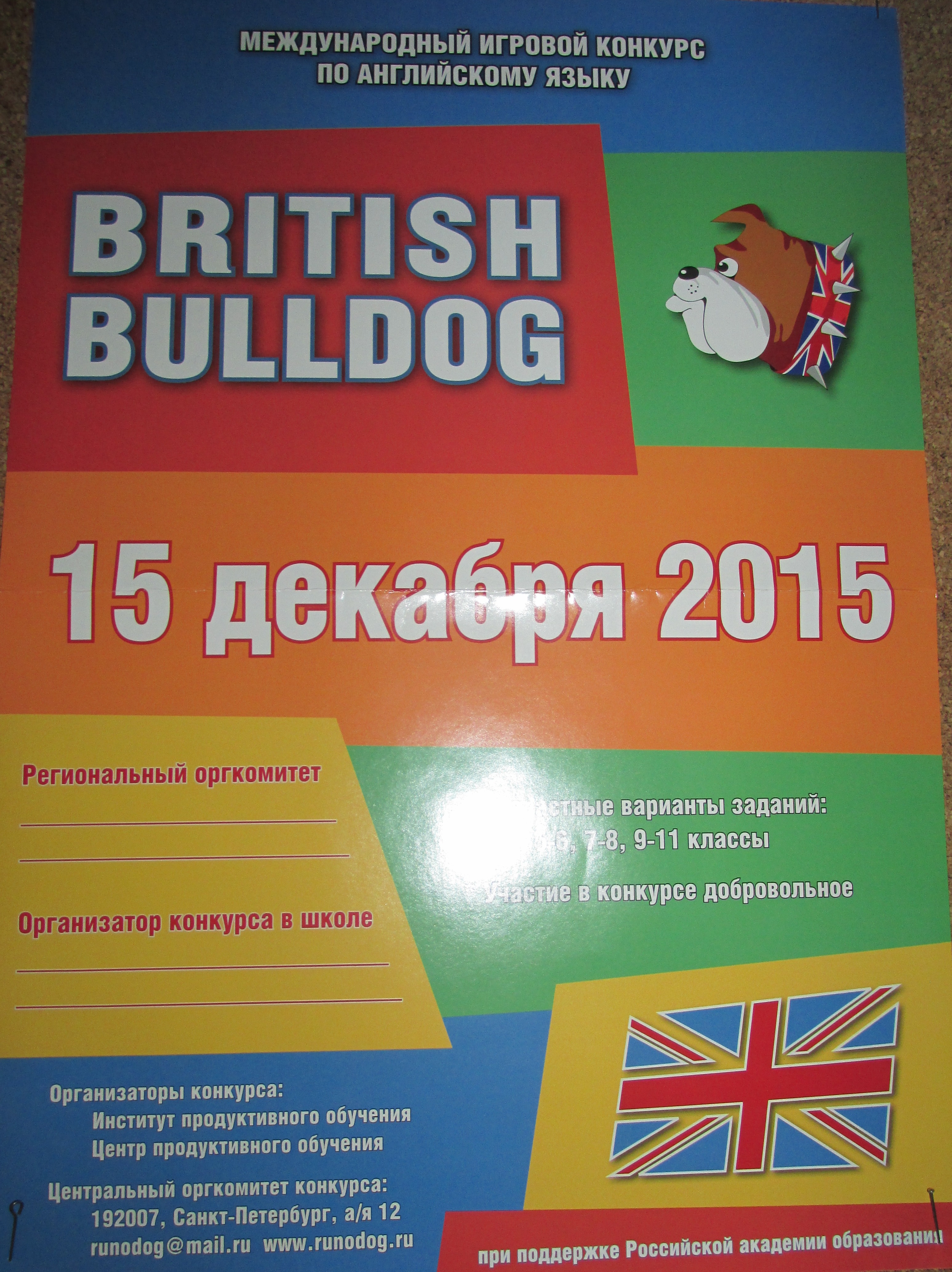 Британский бульдог.JPG