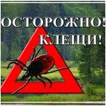 Осторожно, клещи2017.jpg