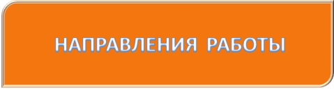 НАПРАВЛЕНИЯ РАБОТЫ.jpg