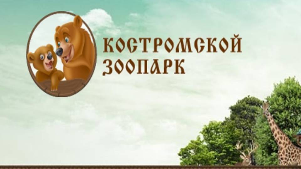 Слайд8.JPG