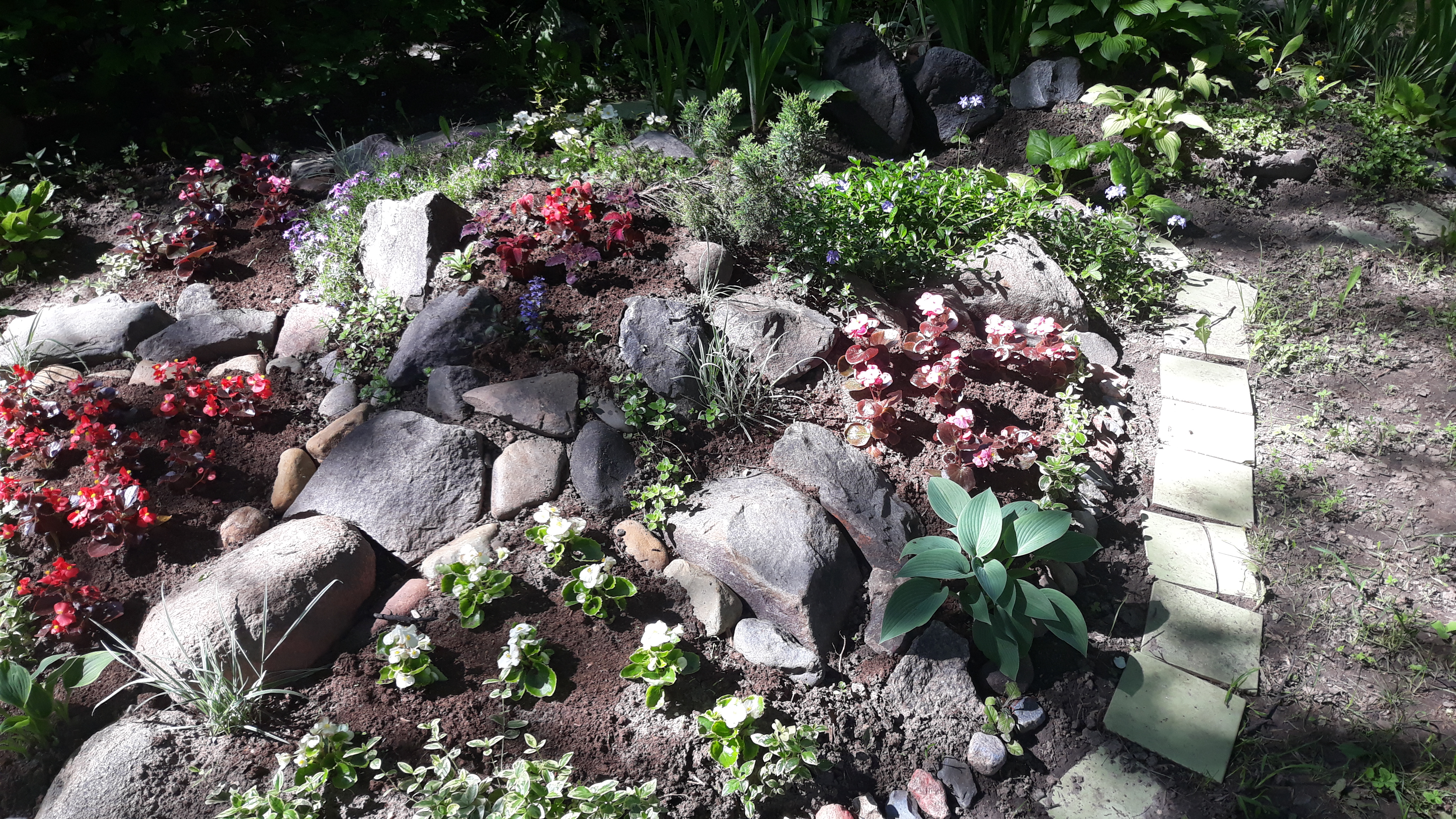 20200608_100914.jpg