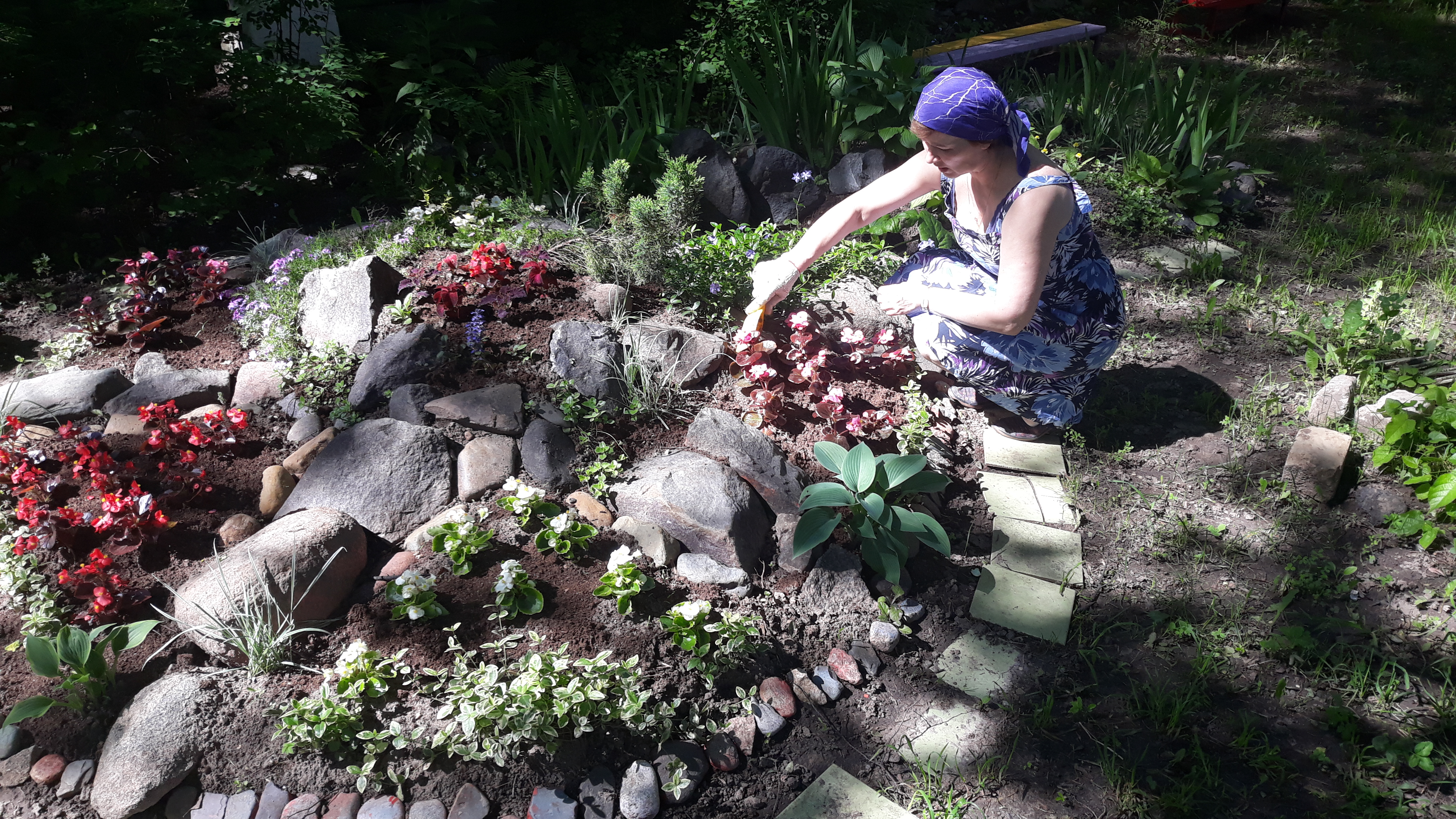 20200608_100914.jpg
