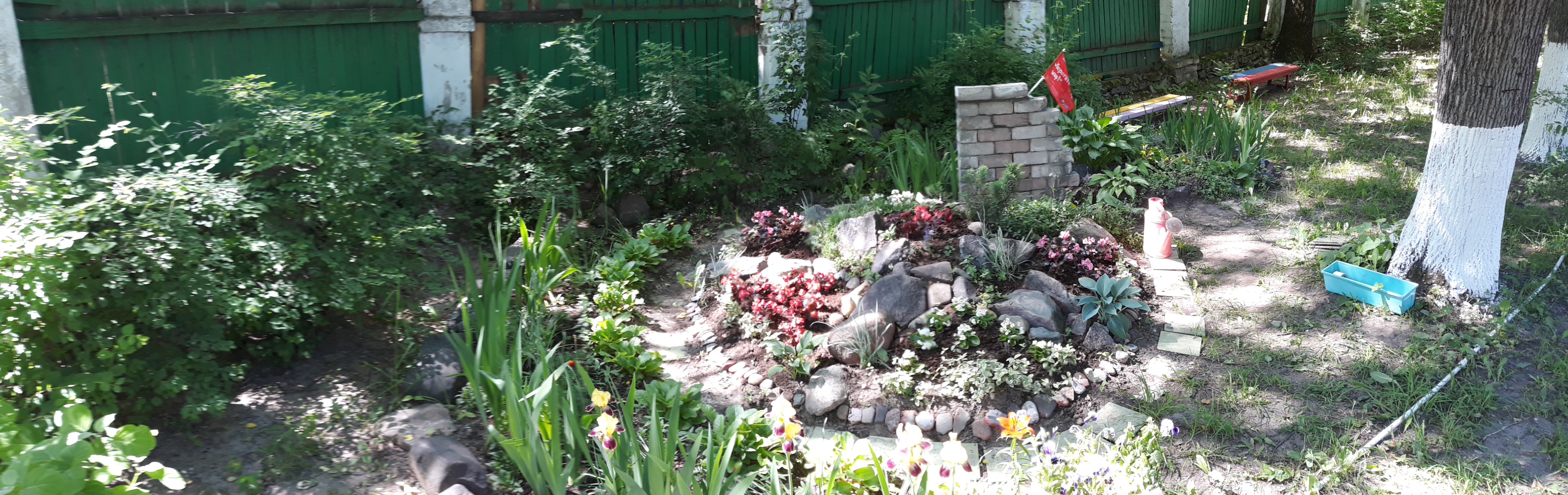 20200615_110706.jpg