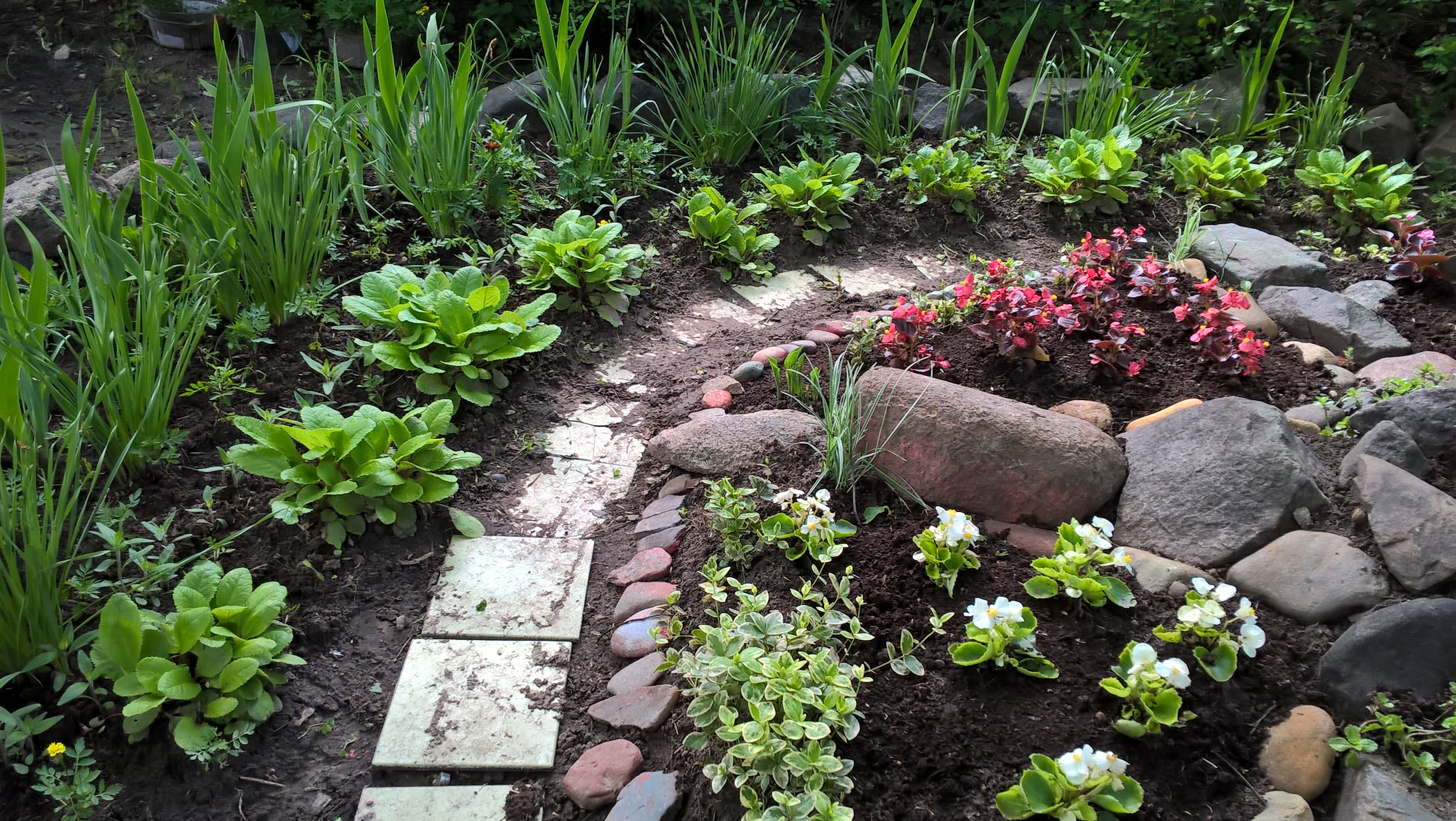 20200608_100914.jpg