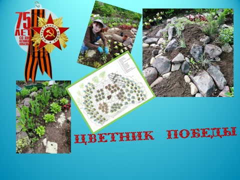 ЦВЕТНИК.jpg