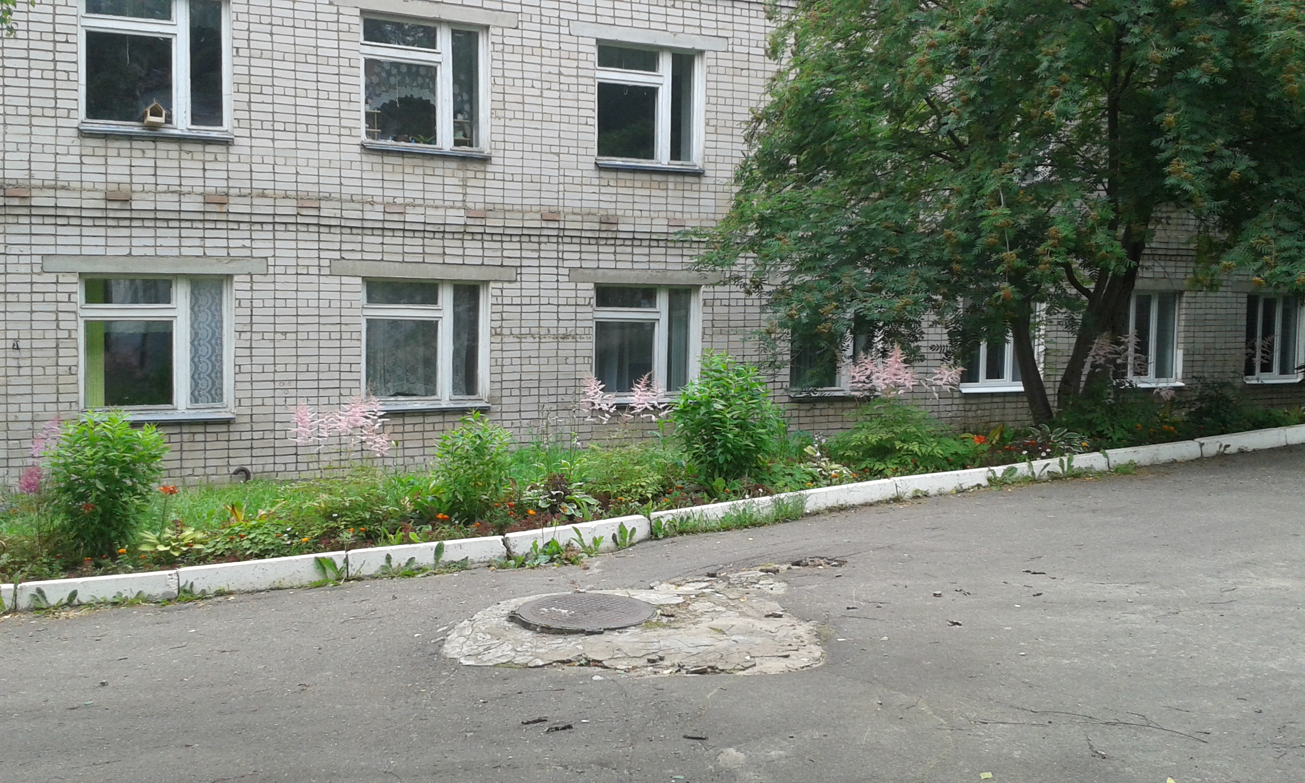 20170724_131620.jpg