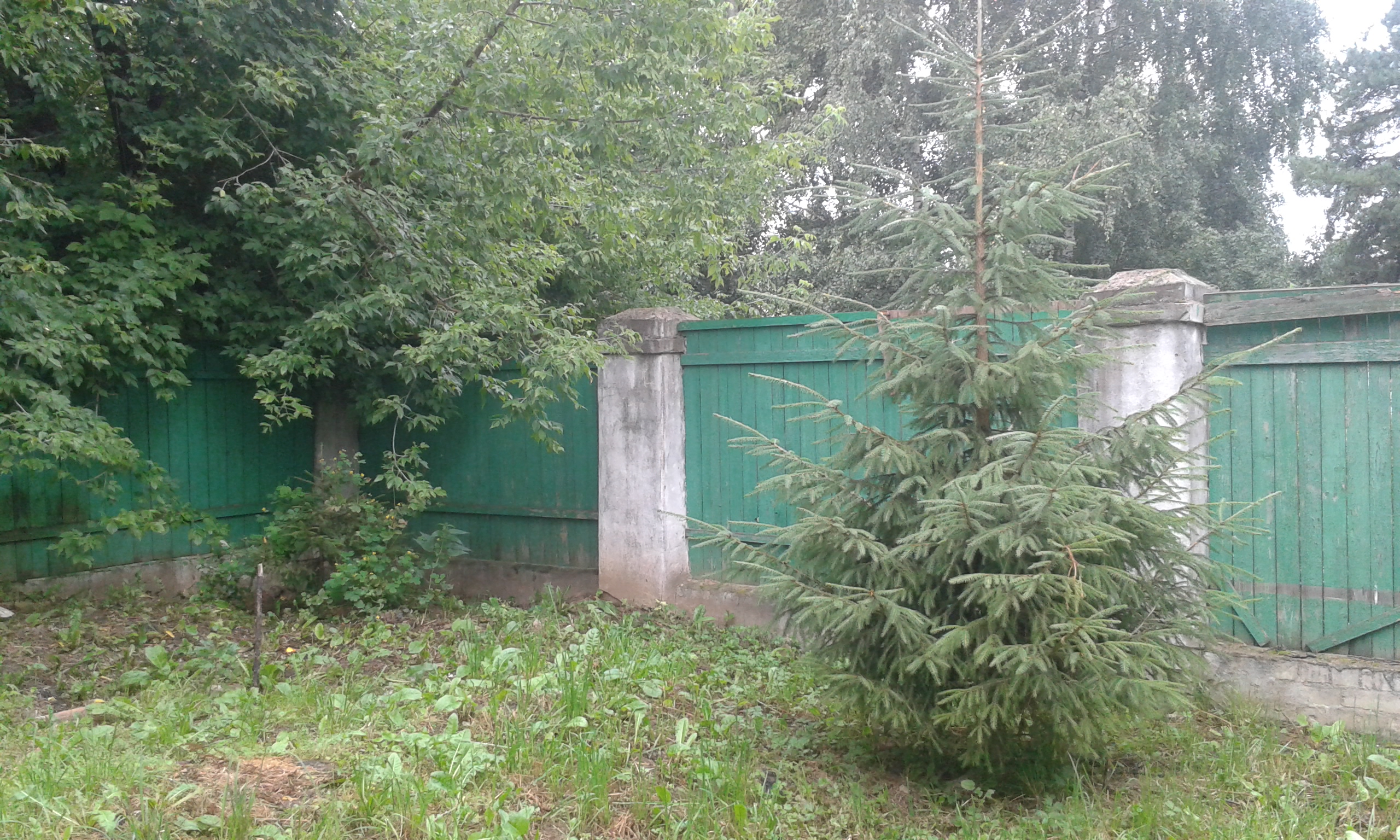 20170814_092614.jpg