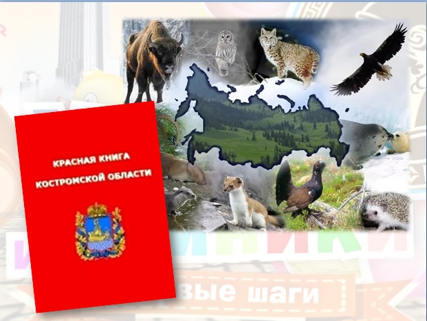 546Г7Ш8Щ.jpg
