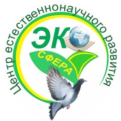 экосфера.jpg