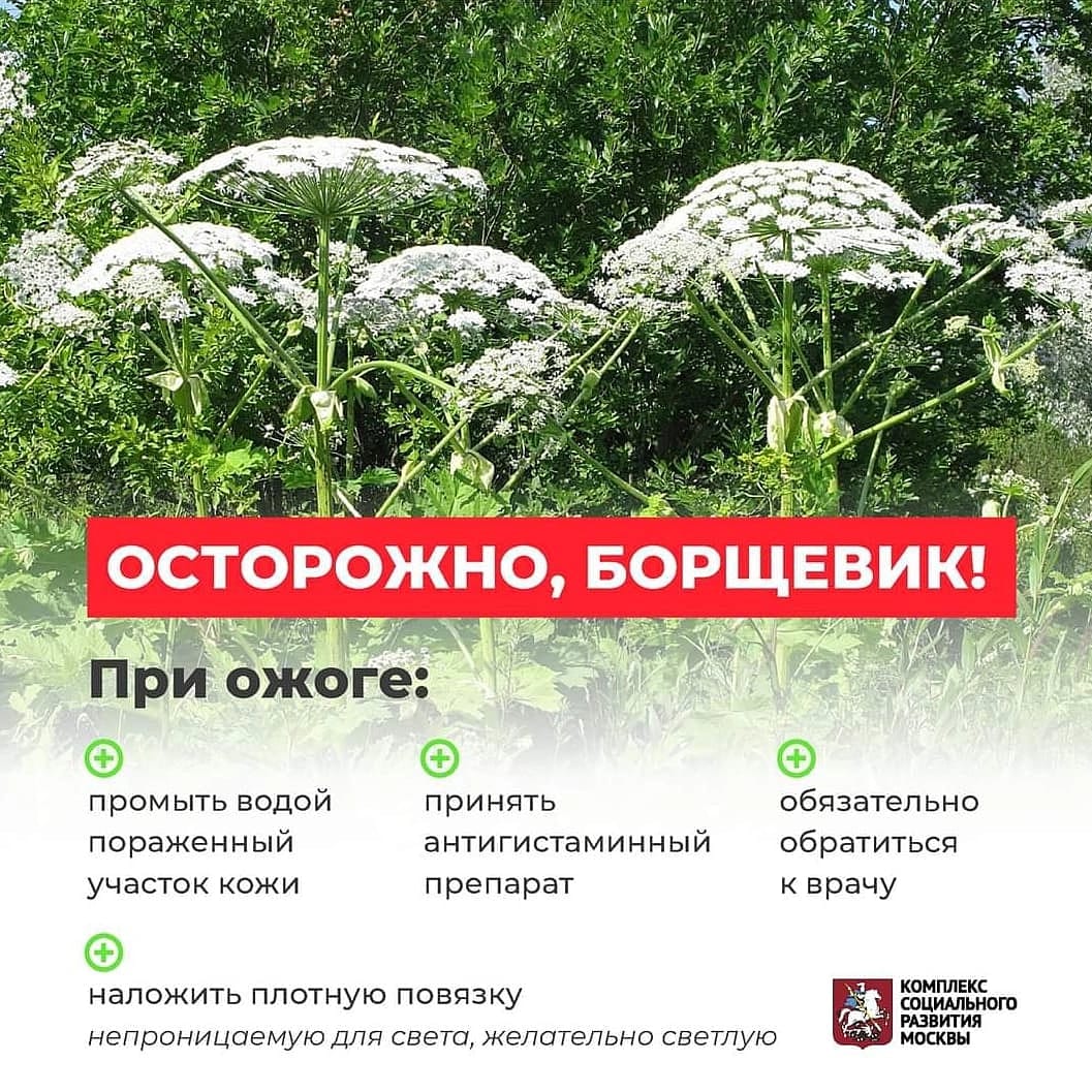 борщ.jpeg