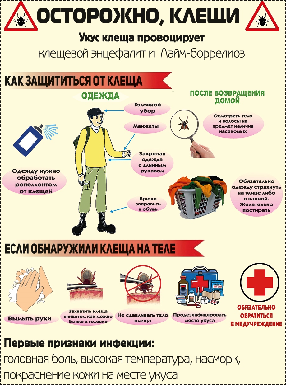 ukus-kleshia-8.jpg