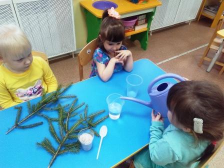 IMG_20201223_110535.jpg