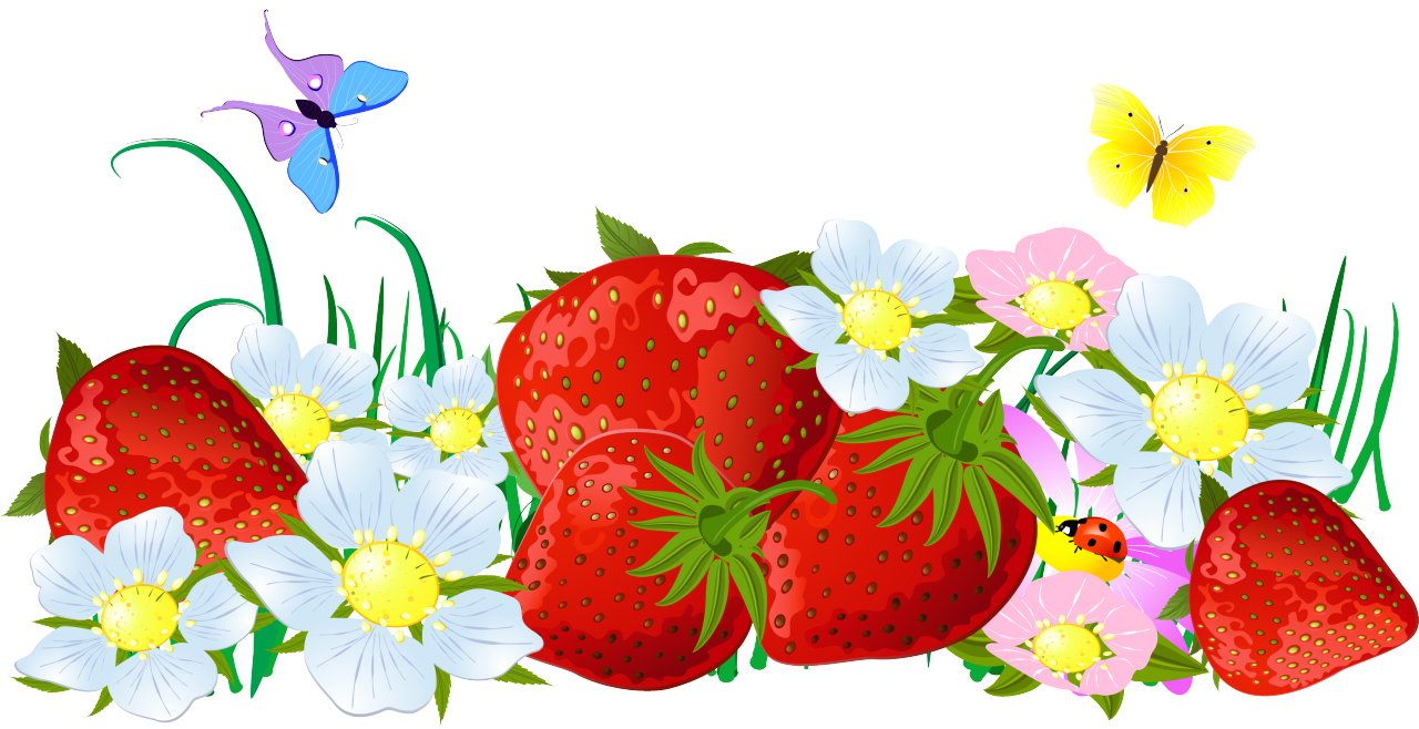 25063170.png