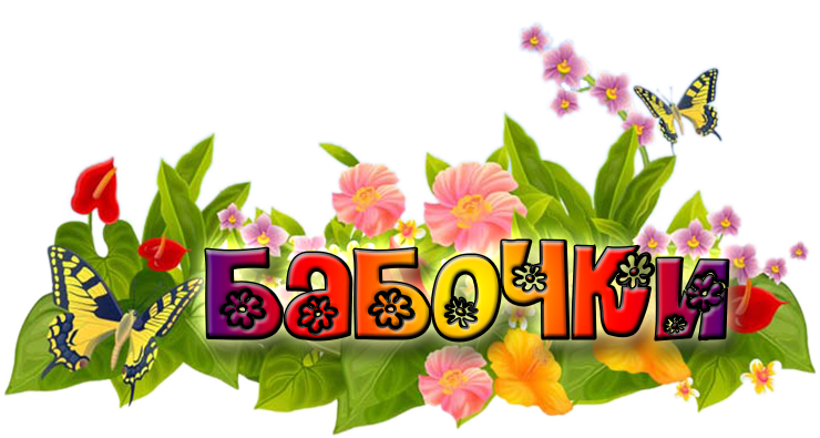 бабочки.png