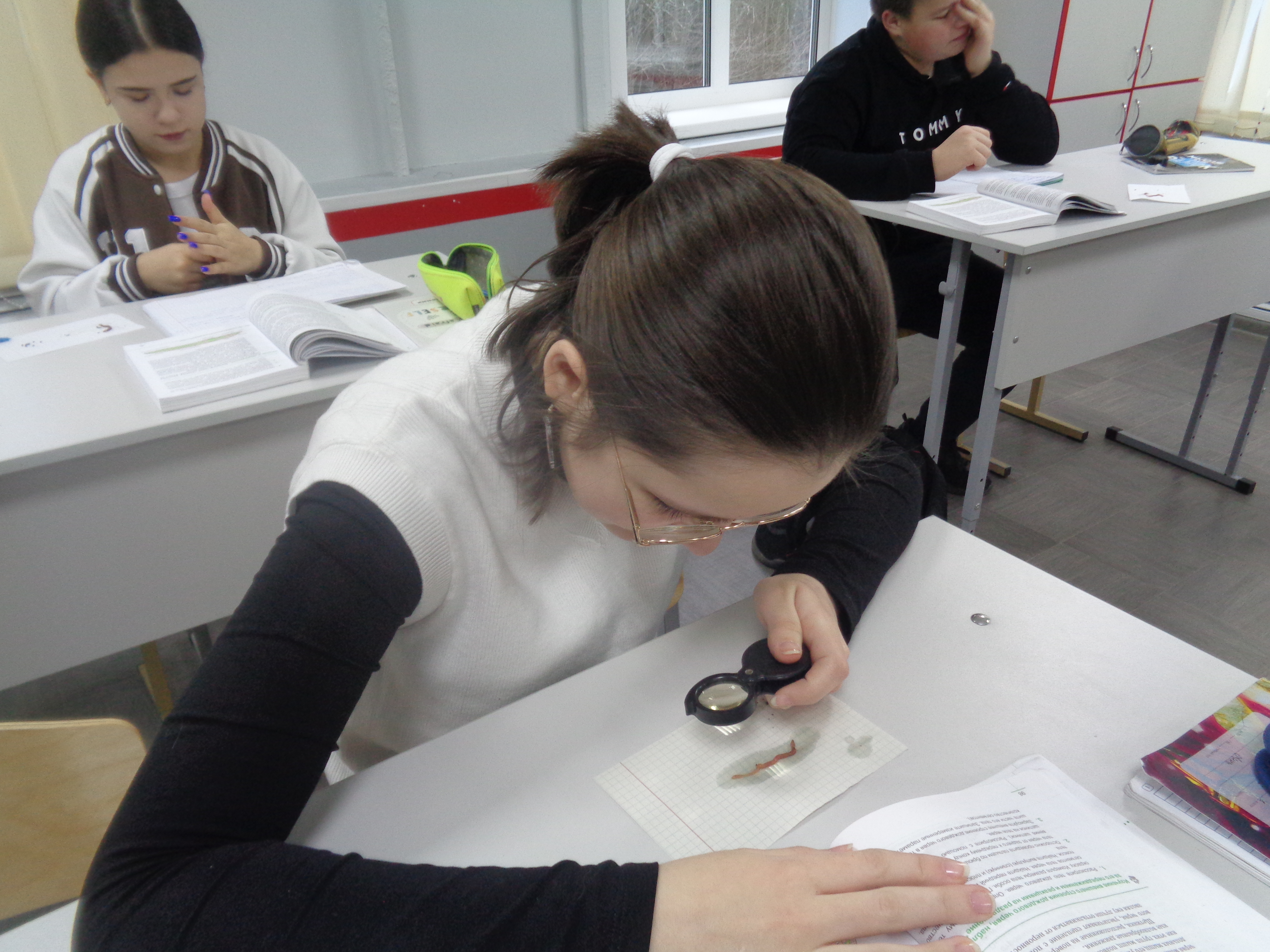 DSC03113.JPG
