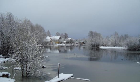 Старица Глушица.jpg