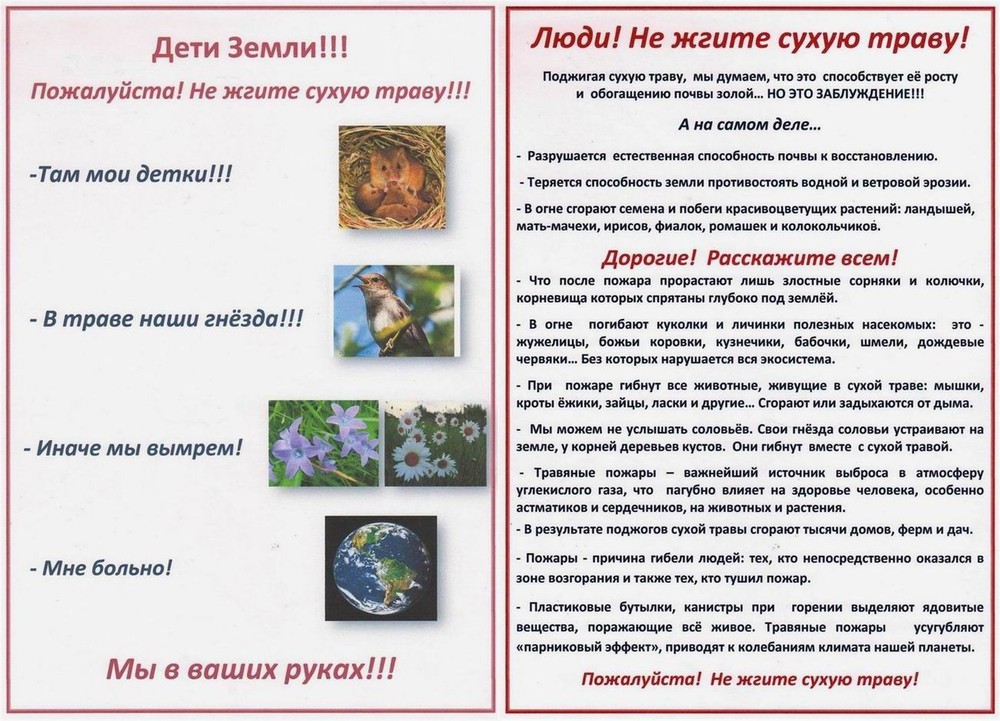 pamyatka.jpg