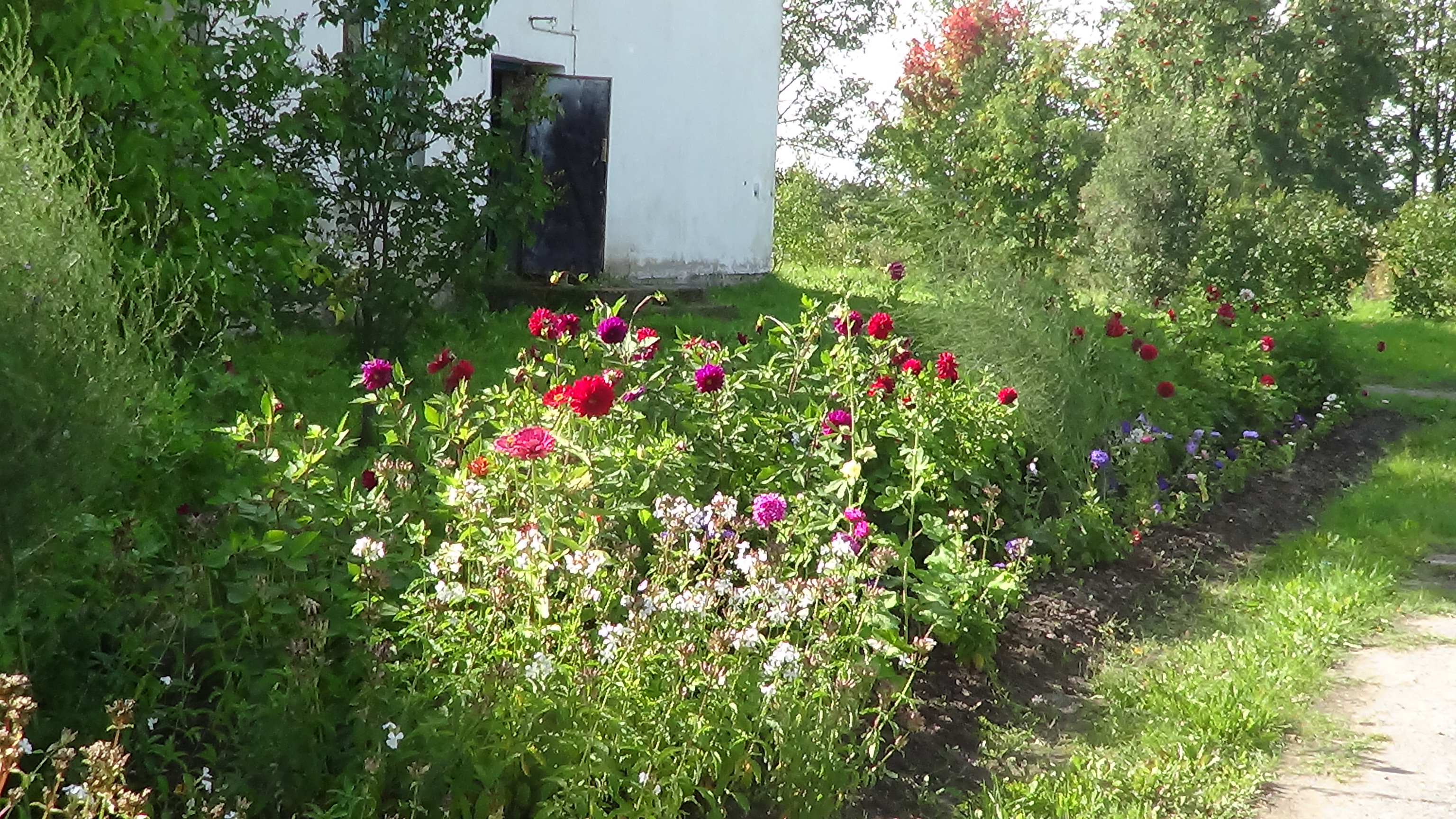 DSC07161.JPG