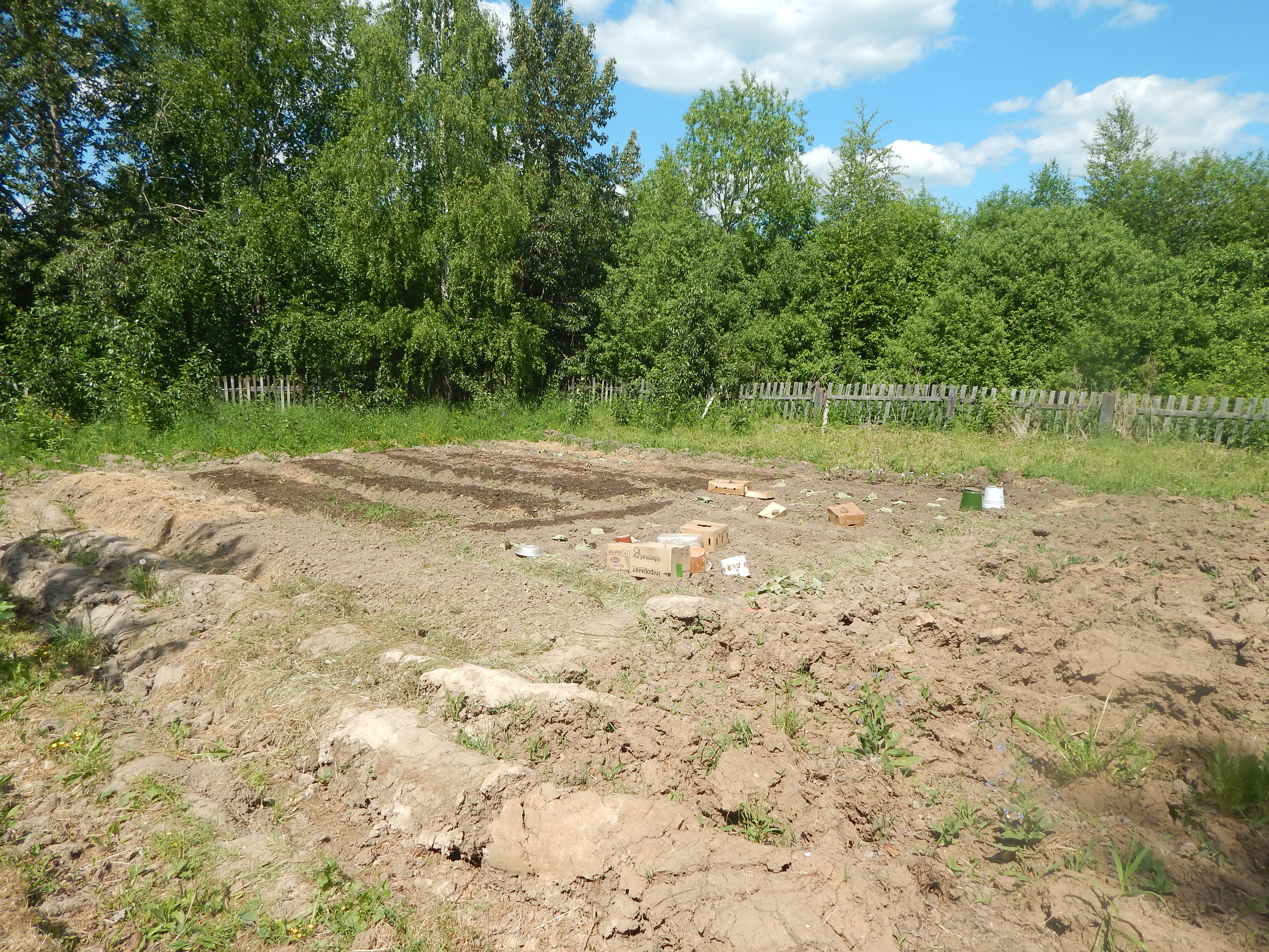 DSCN4428.JPG