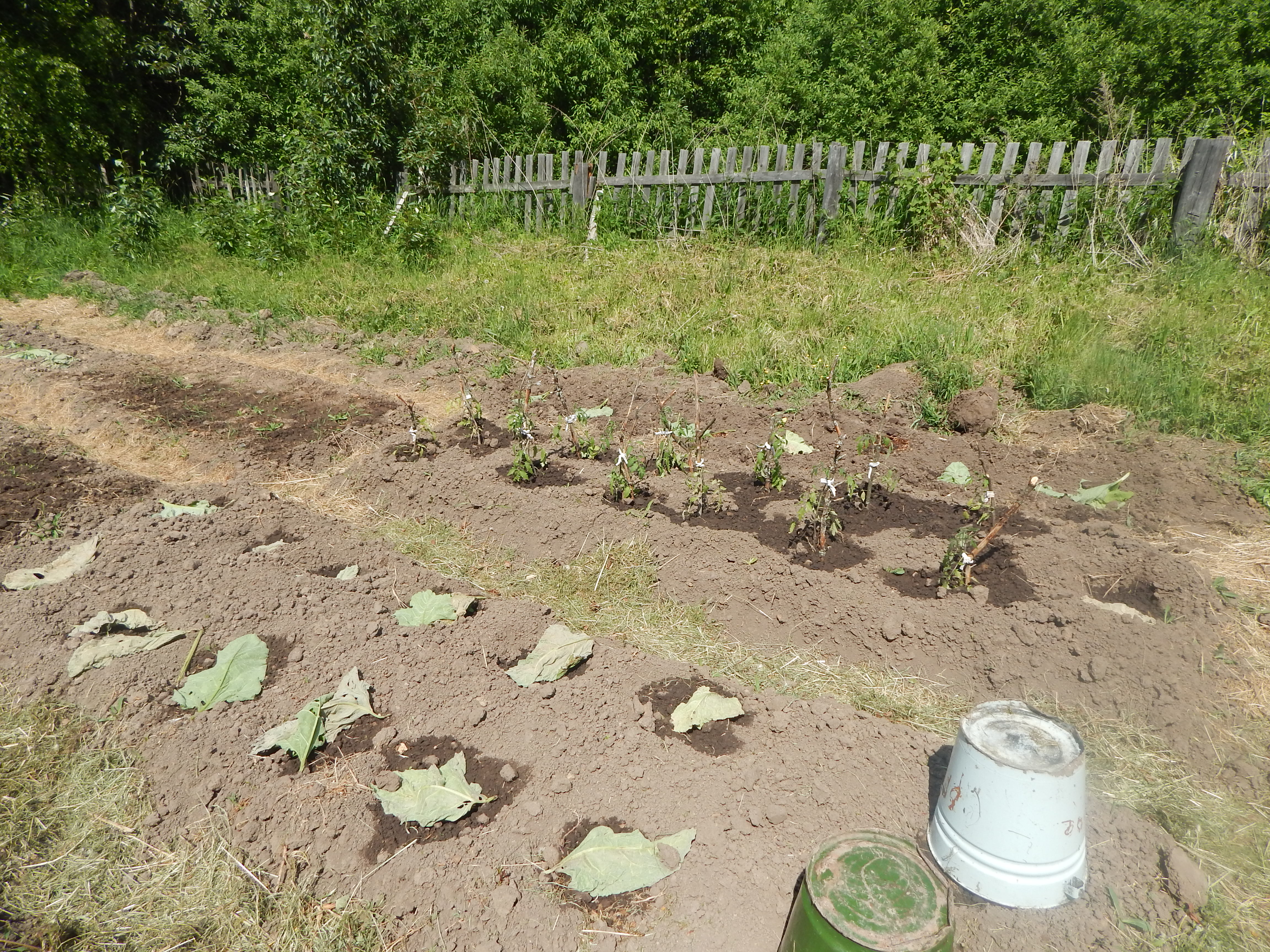 DSCN4430.JPG