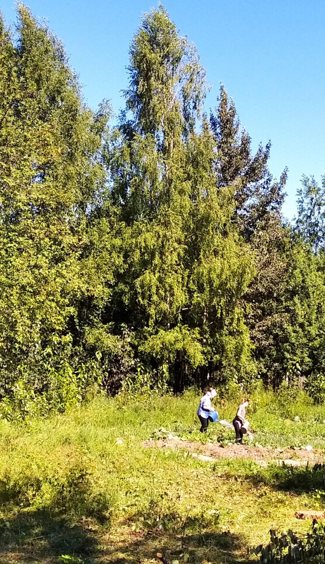IMG_20210705_124116.jpg