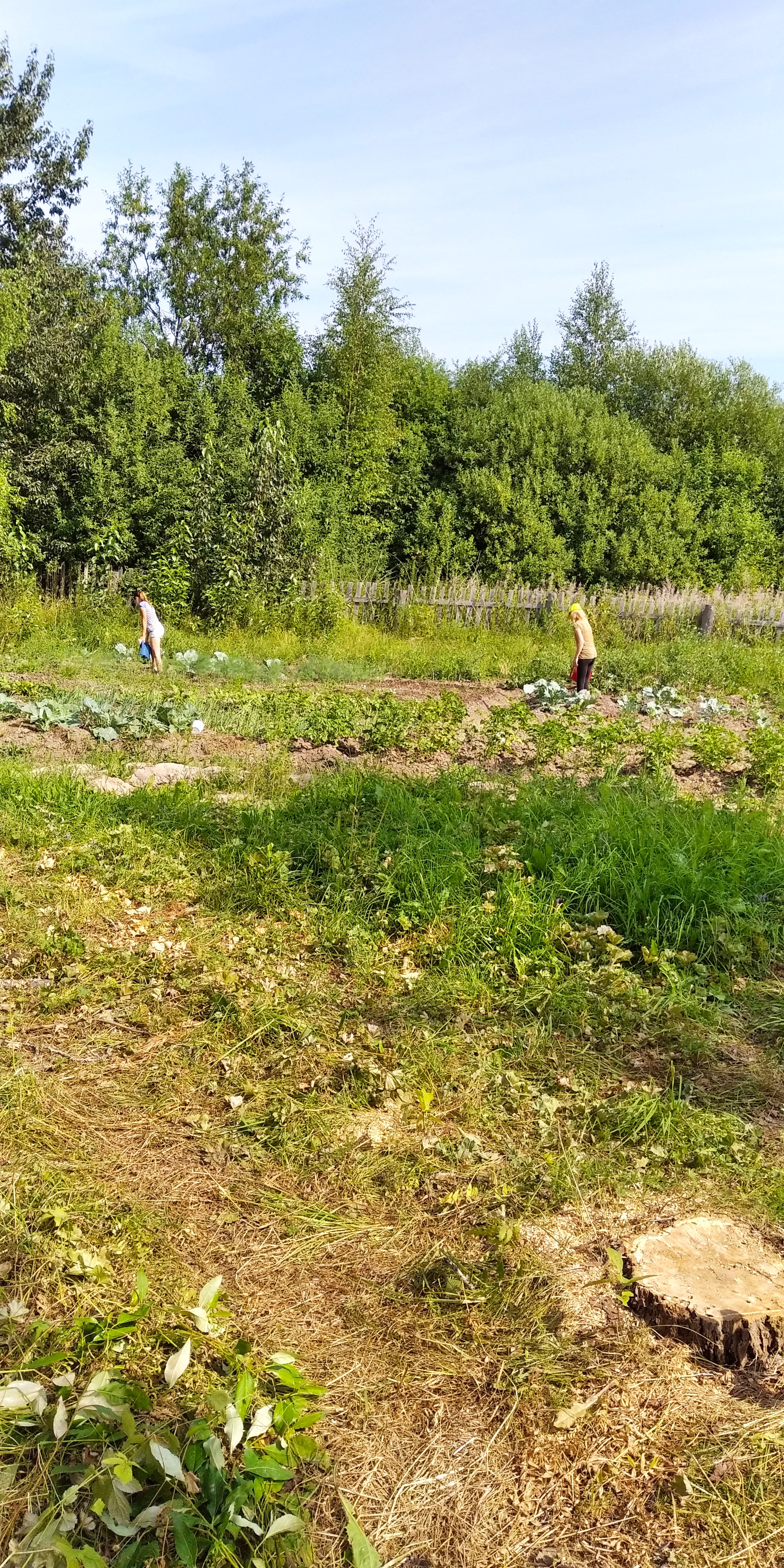 IMG_20210714_101219.jpg