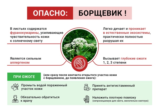 2eb5ab63b7e39c7aaa48c2186d807f2b.jpg