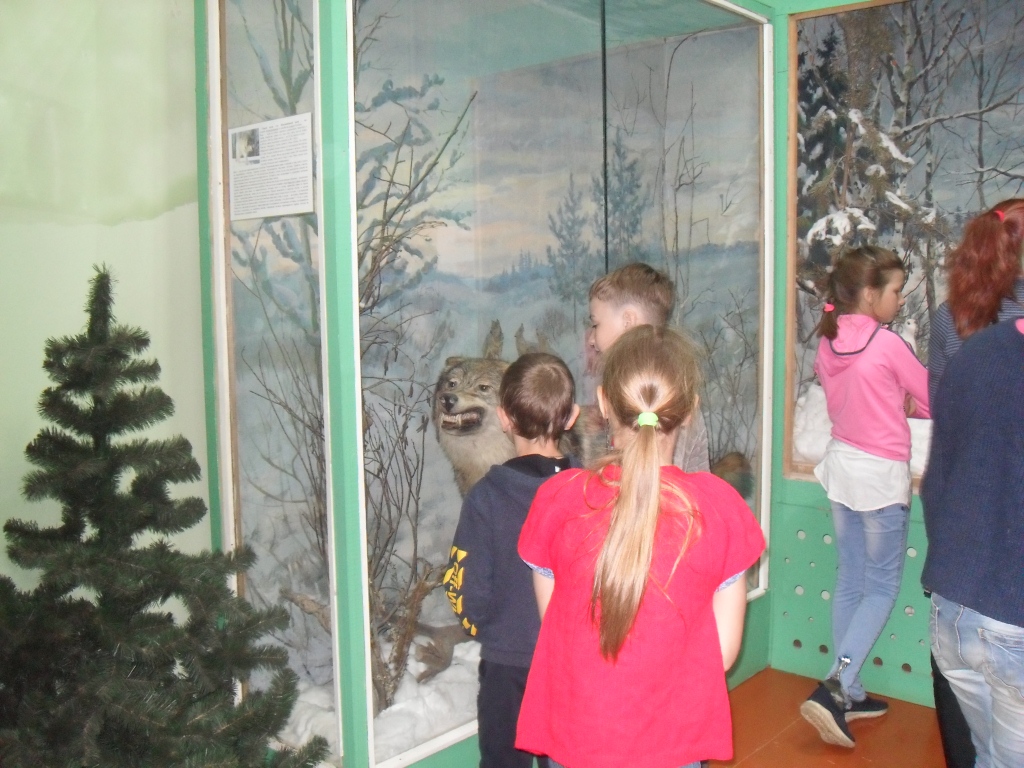 SDC14522.JPG