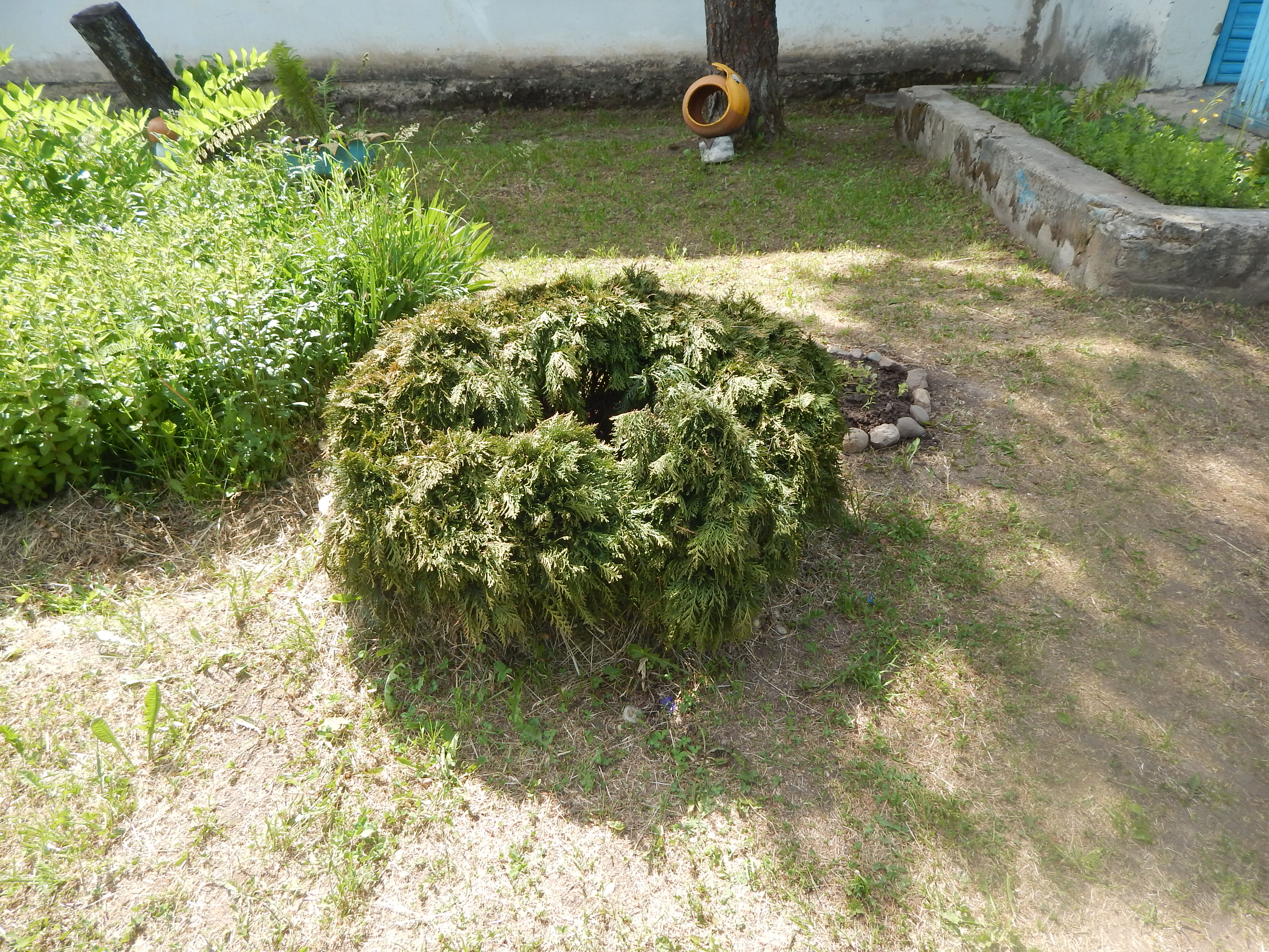 DSCN4435.JPG