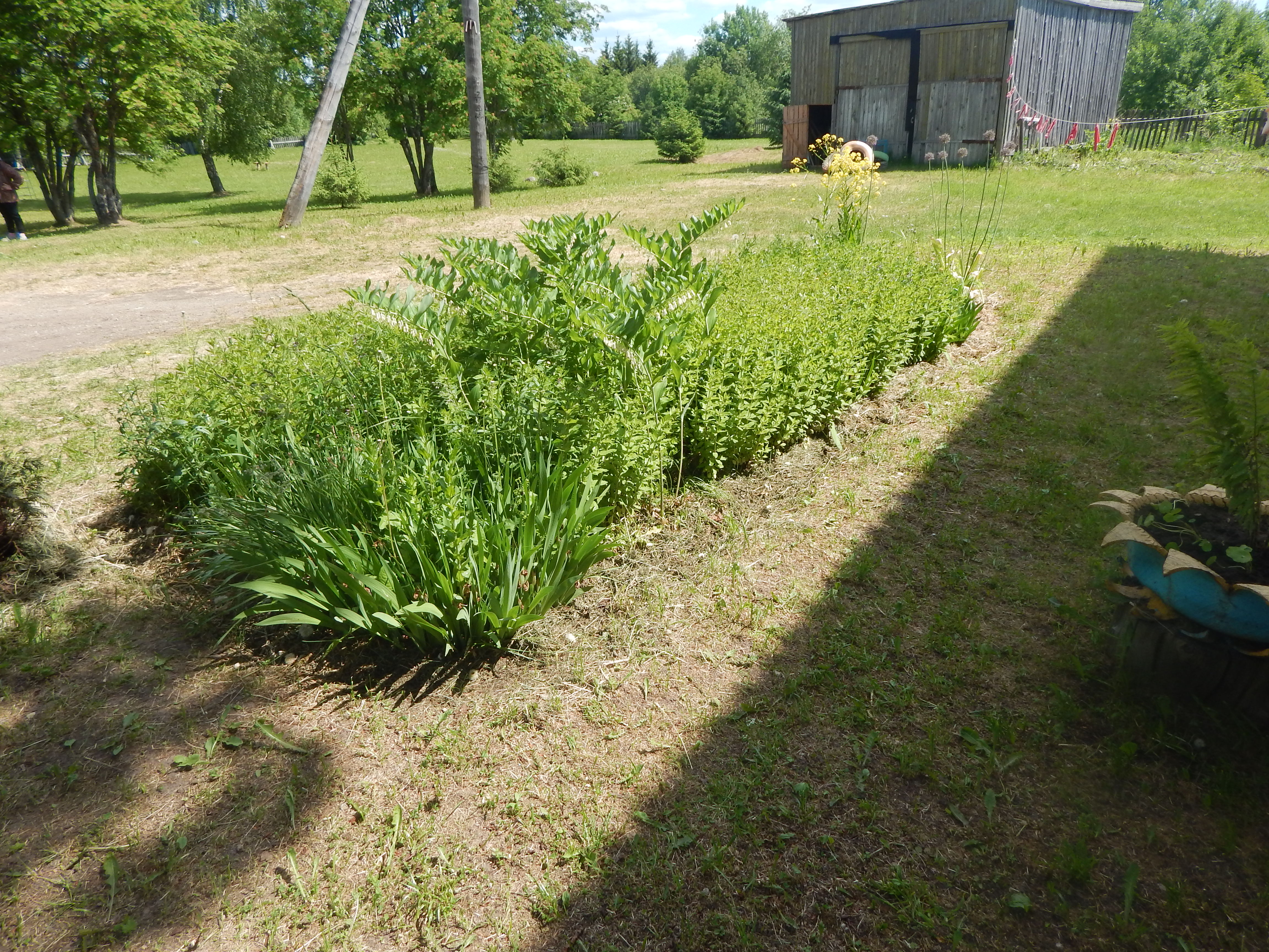 DSCN4441.JPG