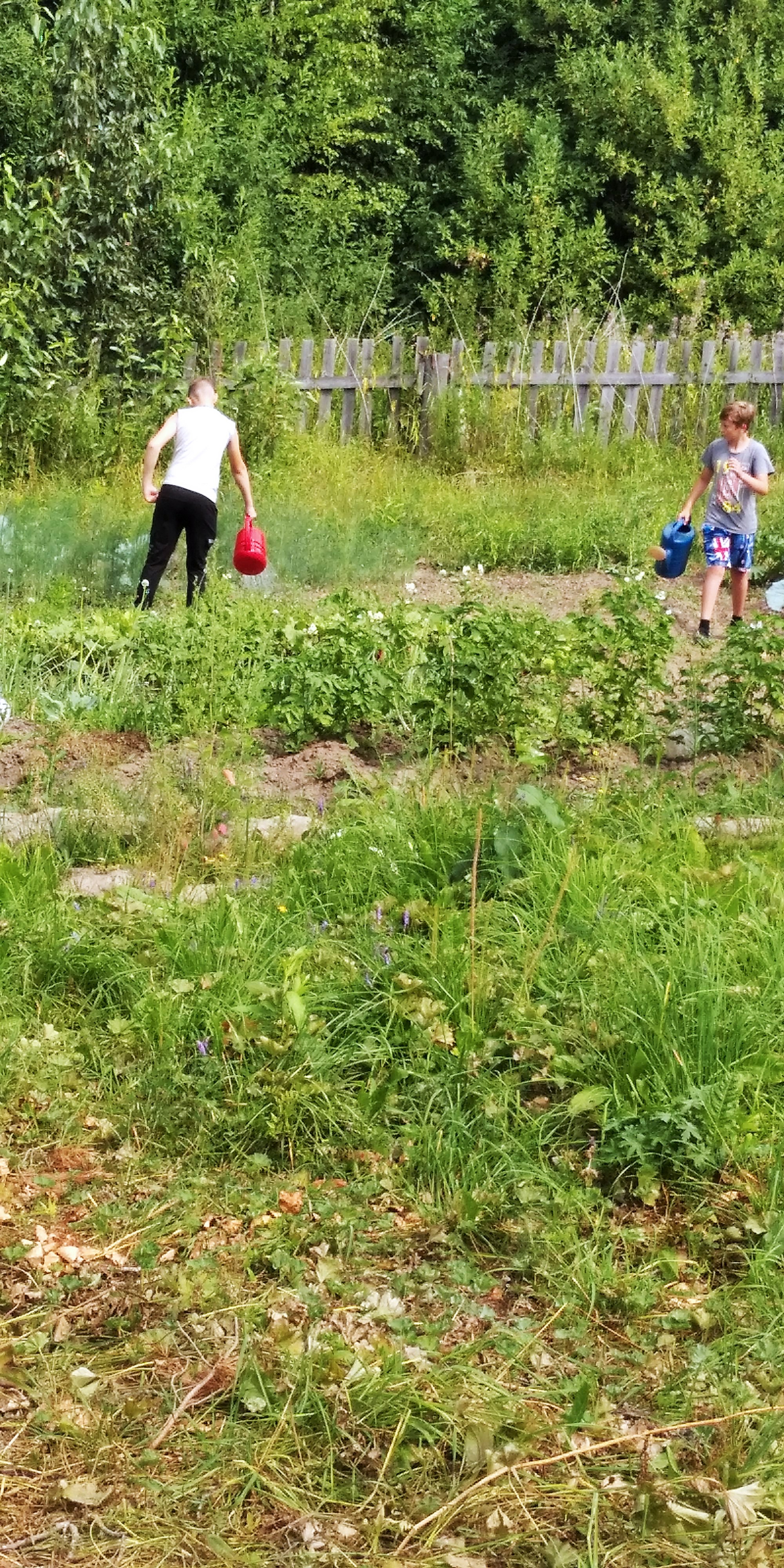 IMG_20210720_102554.jpg