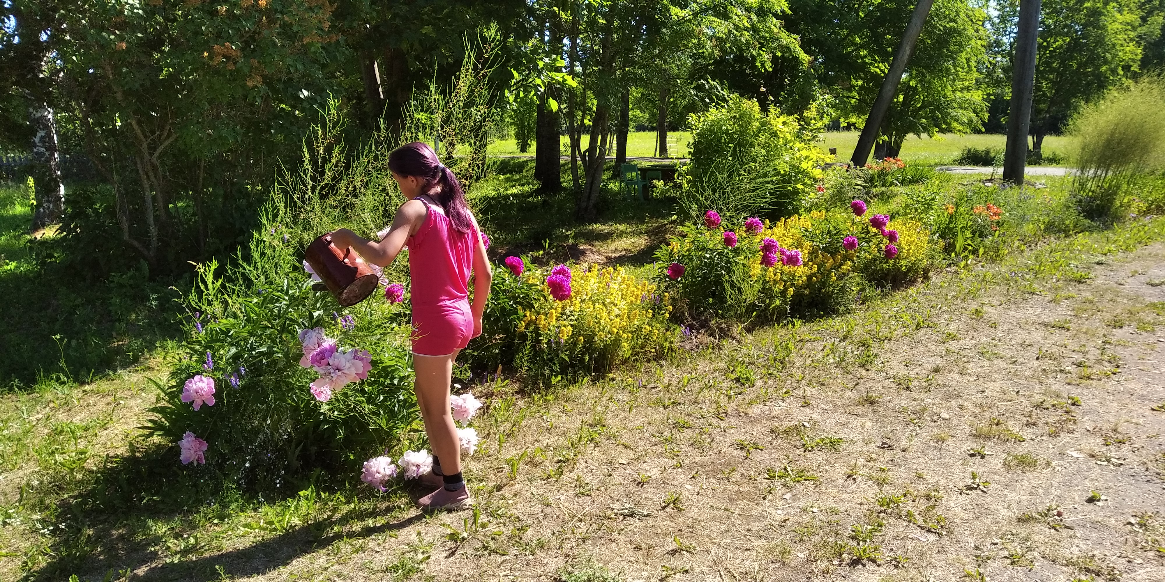 IMG_20220705_092308.jpg