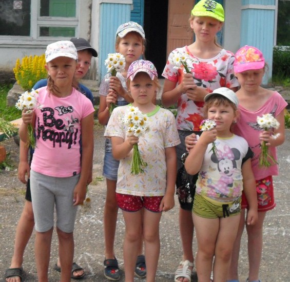 SDC1399ромашки1.JPG