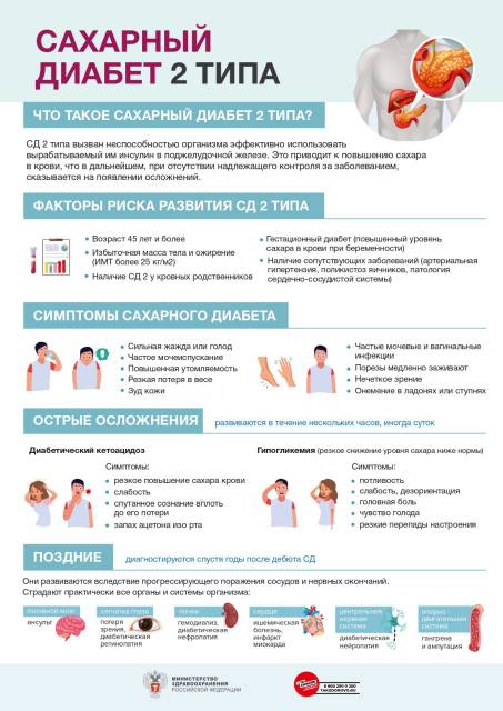 СД (2).jpg