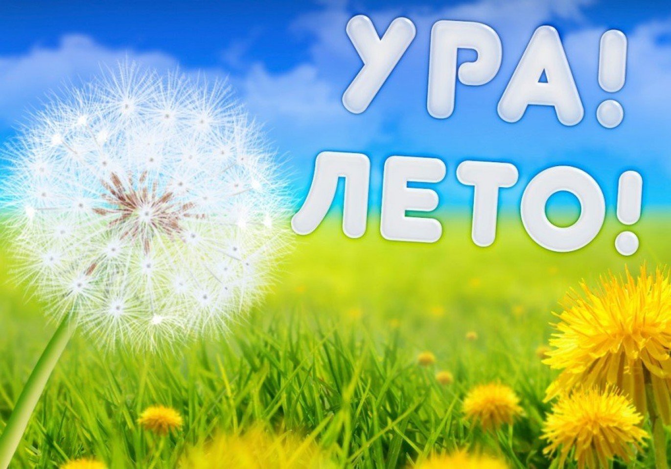 лето 24.jpg